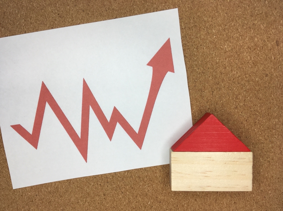 八代市葭牟田町の家賃相場